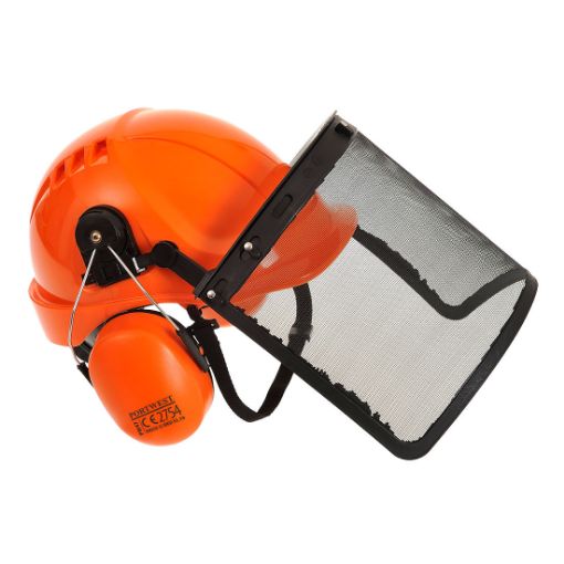 Afbeeldingen van Kit Forestier