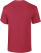 Afbeeldingen van Heavy Cotton™Classic Fit Adult T-shirt