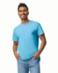 Afbeeldingen van Heavy Cotton™Classic Fit Adult T-shirt