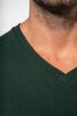 Afbeeldingen van Heren-t-shirt BIO150 IC V-hals