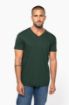 Afbeeldingen van Heren-t-shirt BIO150 IC V-hals