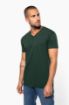 Afbeeldingen van Heren-t-shirt BIO150 IC V-hals