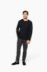 Afbeeldingen van Supima® heren-T-shirt ronde hals lange mouwen