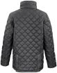 Afbeeldingen van Cheltenham Gold Jacket