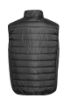 Afbeeldingen van Gewatteerde bodywarmer Core