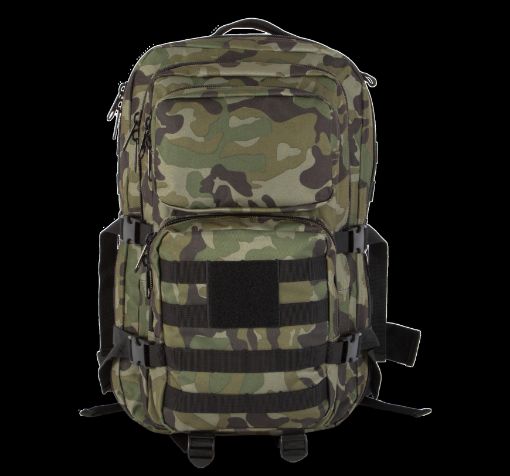 Picture of M.O.L.L.E. backpack