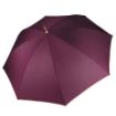 Picture of Auto open wooden umbrella