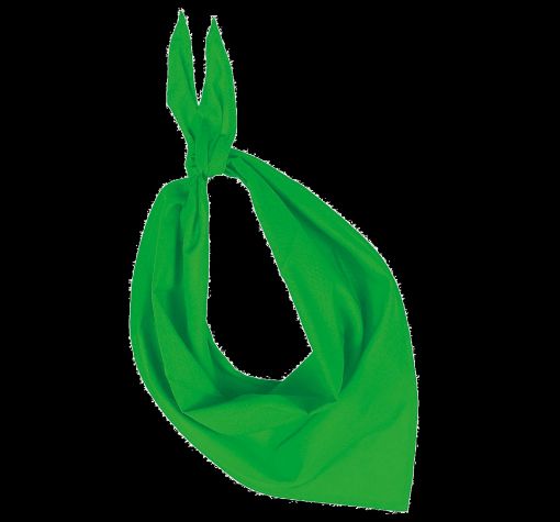 Afbeeldingen van Fiesta - Bandana