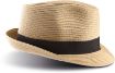 Image de Chapeau Panama