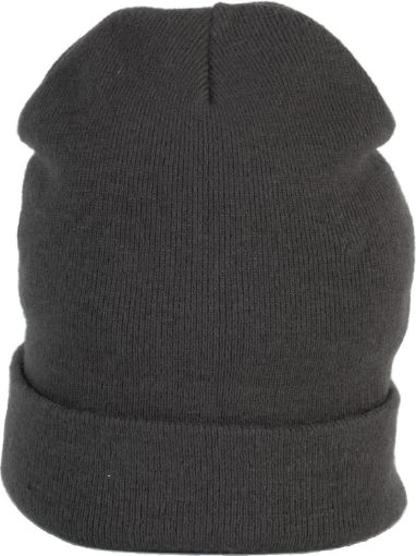 Picture of Beanie with turn-up