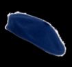 Image de Béret basque