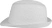 Image de Chapeau de paille style Panama rétro