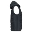 Afbeeldingen van Bodywarmer met capuchon volwassene