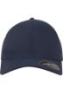 Picture of Flexfit Delta cap