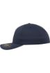 Picture of Flexfit Delta cap