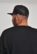 Picture of Classic Trucker cap
