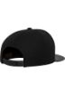 Afbeeldingen van Snapbackpet carbon