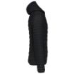 Afbeeldingen van Men's lightweight hooded padded jacket