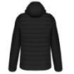 Afbeeldingen van Men's lightweight hooded padded jacket