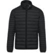 Afbeeldingen van Men's lightweight padded jacket
