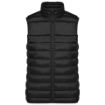 Afbeeldingen van Gewatteerde dames bodywarmer