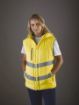 Picture of Hi-Vis Kensington hoodied gilet
