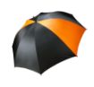 Image de Parapluie tempête Royal
