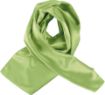 Image de Foulard satiné