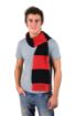 Afbeeldingen van Team Scarf
