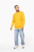 Afbeeldingen van Sweater ronde hals