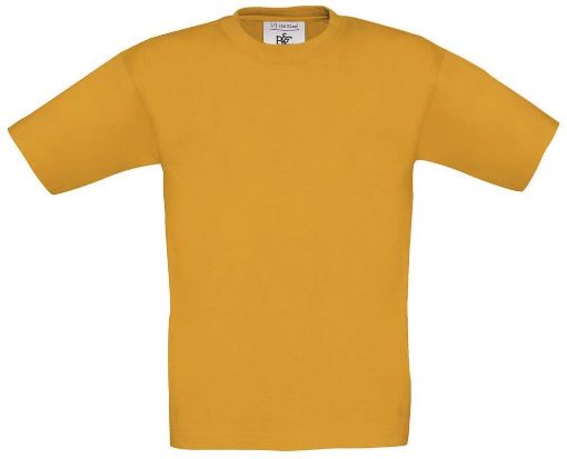 Image de T-shirt enfant Exact150 Apricot