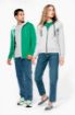 Afbeeldingen van Herensweater met rits en capuchon in contrasterende kleur