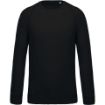 Afbeeldingen van Herensweater BIO ronde hals raglanmouwen