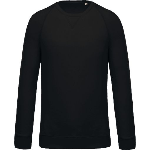 Afbeeldingen van Herensweater BIO ronde hals raglanmouwen