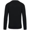 Afbeeldingen van Herensweater BIO ronde hals raglanmouwen