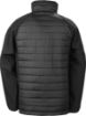 Picture of Black compass padded soft shell jacket