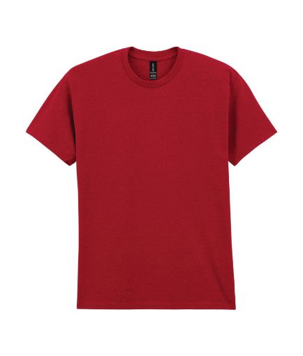 Afbeeldingen van Heavy Cotton™Classic Fit Adult T-shirt