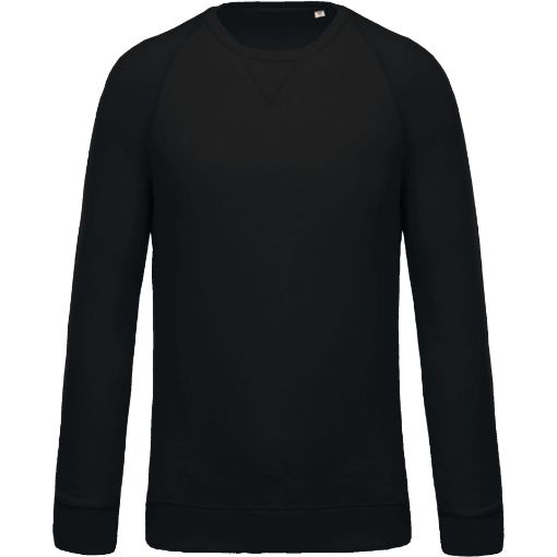 Image de Sweat-shirt Bio col rond manches raglan homme