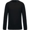 Image de Sweat-shirt Bio manches raglan enfant