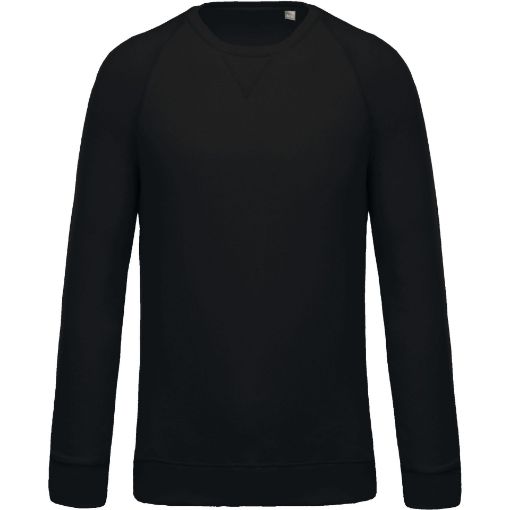 Image de Sweat-shirt Bio manches raglan enfant