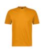 Afbeeldingen van Fuji 200 - T-shirt manches courtes antibactérien