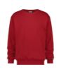 Image de Lionel 290  Sweat-shirt col rond