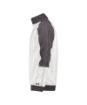 Bild von Basiel 290  -  Sweat 1/2 zip bicolore