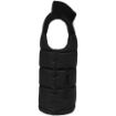 Image de Bodywarmer matelassé bi-ton unisexe