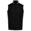 Image de Bodywarmer bi-matière homme