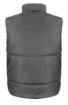 Image de Bodywarmer doublé polaire