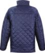 Image de Veste Cheltenham