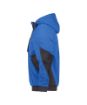 Image de Pulse 270 - Veste sweat-shirt