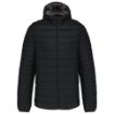 Bild von Leichte Herren-Steppjacke mit Kapuze