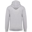 Image de Sweat-shirt zippé capuche unisexe